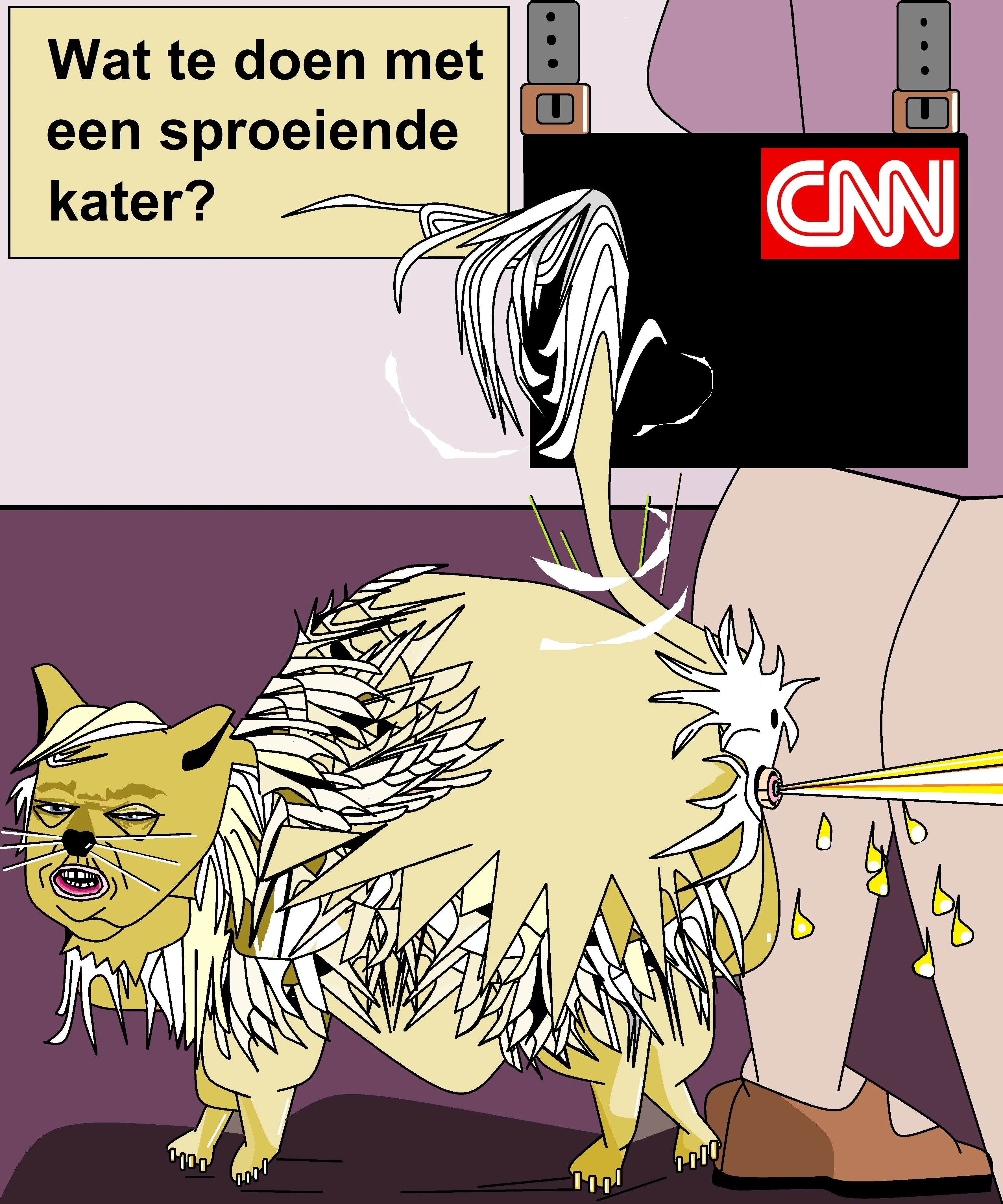 TrumpCNN